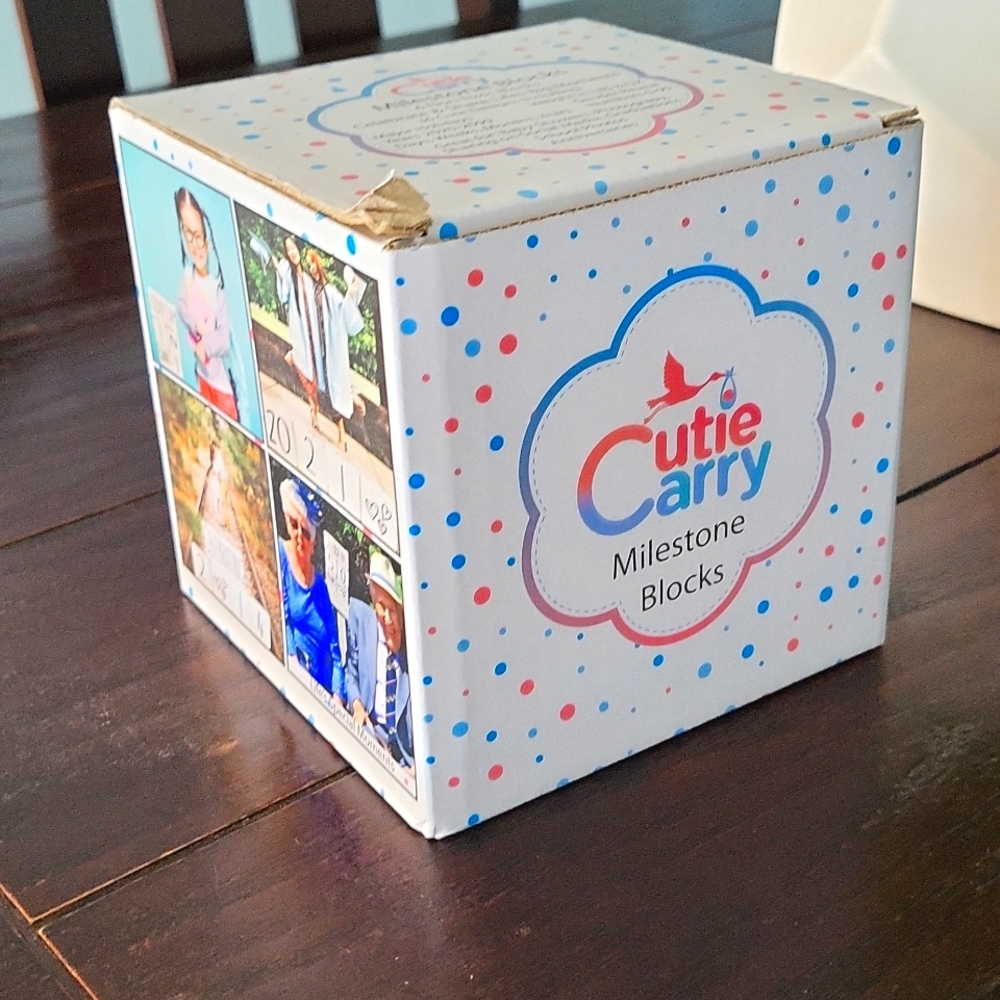 Baby Milestone Blocks